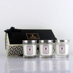 Jenny-glow-Candles-Blakc-Orchid